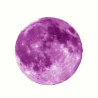 Purple Moon Shiraz - Good Cheap Wine
